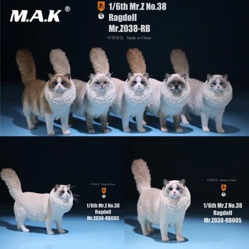 Mr.Z MRZ038 In Stock 1/6 Figure Scene Accessories Ragdoll Simulation Animal Statue Pet Cat Model for 12'' Action Figure