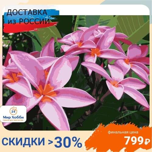 Картины цветов по номерам HOBRUK China At AliExpress
