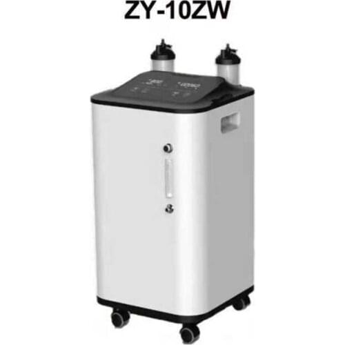 10L Adjustable Oxygen Concentrator Atomizer Low Operation Noise Oxygen Generator Home Care Oxygene Machine