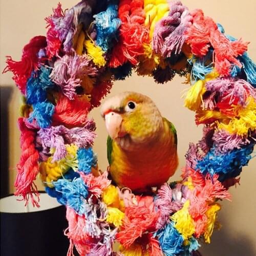 Funny Stand Hanging Cage Decor Knot Colorful Parrot Playing Swing Bite Toy Cotton Blends Bird Rope Ring