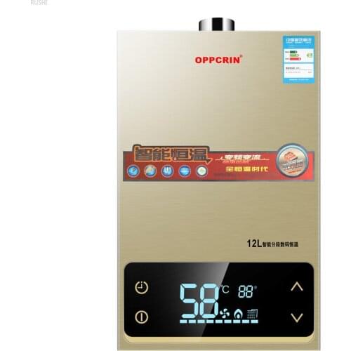 12L16L Gas Water Heater Bathing Frequency Conversion Intelligent Constant Temperature Natural Liquefied Gas Strong Emission