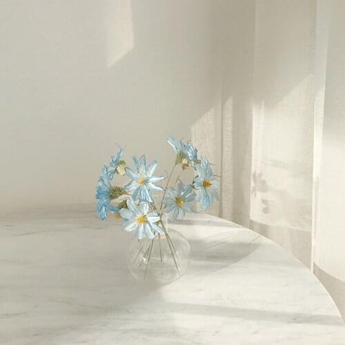 Flower Vase For Table Decoration Living Room Glass Vase Mariage Tabletop Terrarium Glass Containers Desktop Tabletop Vase Nordic