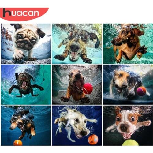 HUACAN Picture By Numbers Dog DIY Frame Unique Gift HandPainted Wall Art Oil Painting By Number Animal Decoration