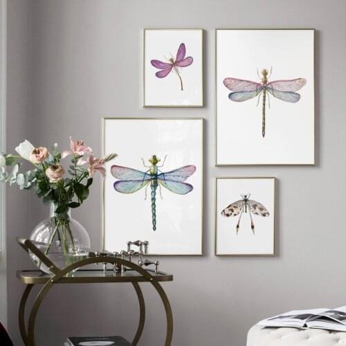 Colorful Dragonfly Specimen Wall Art Canvas Painting Posters And Prints Pictures For Kids Living Room Home Decoration