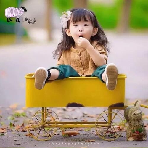 Newborn Baby Photography Iron Trailer Props Baby Boy Girl Photo Shoot Posing Car Props Infant bebe fotografia Basket Accessories