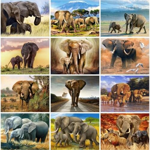 EverShine Diamond Painting Animals Cross Stitch Diamond Embroidery Elephant Rhinestones Art Handicraft Home Decor Hobby Gift