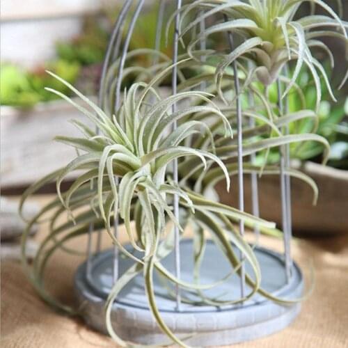 Artificial Pineapple Grass Air Plants Fake Flowers As Home Wall Decoration