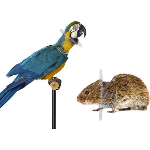 Bird Protective Bead Parrot Collar Anti Feather Picking Ring Anti-Plucking Anti-Grab Collars Collar 1 Pcs