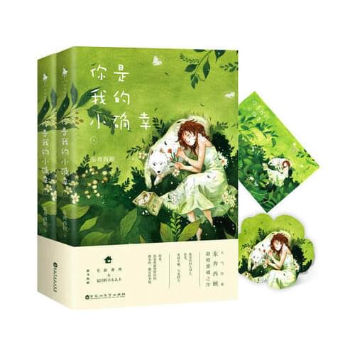 Chinese Sweet love novels- you are my lucky by dongbenxigu / Chinese Popular Novel Fiction Book
