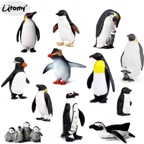 Simulation Penguin Models Figurines,Antarctic Set with Different Varieties of Penguin Cub Ocean Animal Model Cake Toppers Gift