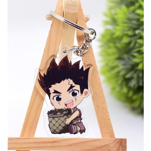 WL0069 Dr.Stone Keychain Acrylic Cartoon Keyring Accessories