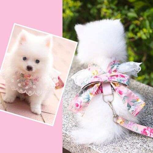 Pet Dog Leash Harness Suit Cute Pet Vest Clothes Dress Puppy Kitten Cat Lace Collar Teddy Chihuahua Dog Accessoires Chihuahua