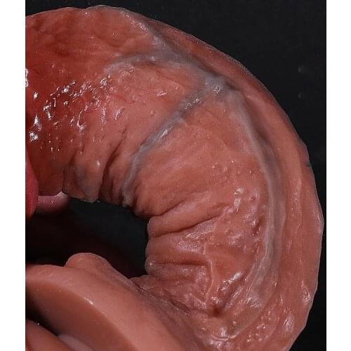 11 Models Long Simulation Dildo Realistic Penis G spot Stimulate Soft Silicone Huge Big Dick Suction Cup Sex Toys For Women Gay