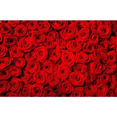 SHENGYONGBAO Vinyl Custom Photography Backdrops outdoor+Brick wall Theme Photography Background 200309RG-04