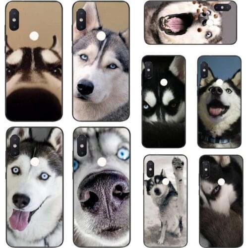 YNDFCNB Funny cute husky with a hat Phone Case For Xiaomi Mi8 9 10 9T 5 6 A1 A2Lite 9SE 8SE Mi8lite Mix2 Max3 F1
