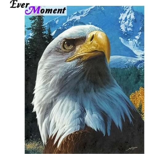 Ever Moment DIY Diamond Painting Eagle 3D 5D Diamond Embroidery Painting Square Stones Full Layout Animal Handicraft ASF936