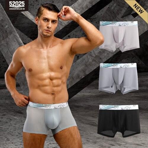52025 Men Underwear Boxers 3-Pack Light Extra Thin Premium Nylon Seamless Comfortable Trunks Quick Dry Boxers Men Underwear Sexy