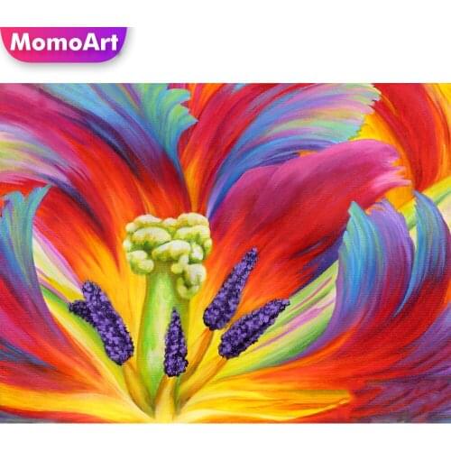 MomoArt Diamond Embroidery Flower Sale Full Square Diamond Painting Tulip Cross Stitch Mosaic Lily New Arrival Home Decoration