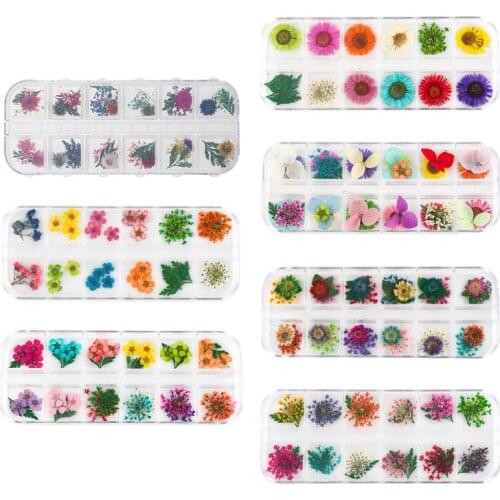 12Grid/Box Crystal Epoxy Filler Dry Flower Mixed Nail Stickers Decorations Craft