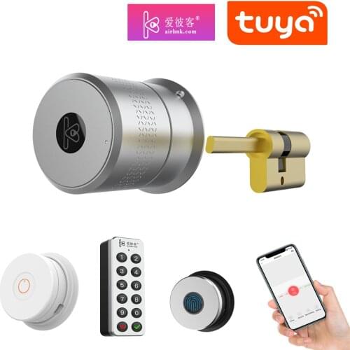Smart Bluetooth Remote Control Cylinder Lock Fingerprint Key Pad TTLock Tuya APP Optional