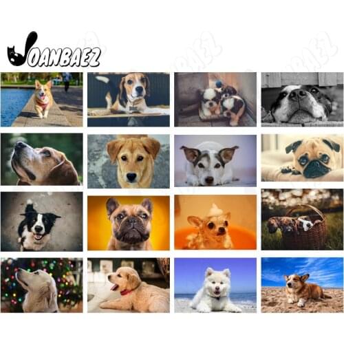 Cute Looking Up Dog Animal Diamond Painting 5D Diy Wall Art Basket Puppy Sticker Diamond Embroidery Inlaid Home Room Decoration