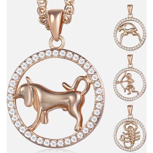 12 Zodiac Constellations Pendant Necklace White Cubic Zirconia Fashion Jewelry Accessories for Women Men GPM17A