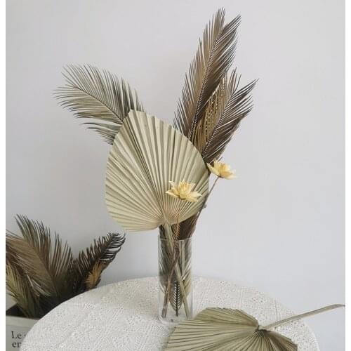 1set Palm Fan Leaves Dried Flower Palm Leaf Window Reception Party Art Wall Hanging Decoration Wedding Arch Arrangement Florals
