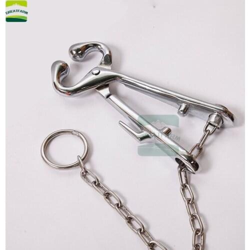 1pcs Stainless Steel calf Nose Ring Pliers Bull Cattle Bovine with Chain Pulling Tool Livestock Silver Cattle Nose Ring Circle