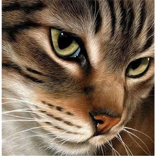 5D diy Round diamond painting Cat calligraphy cross stitch wall sticker rhinestone diamond embroidery