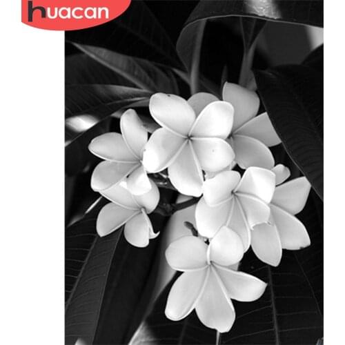 HUACAN Diamond Painting Full Round Square Flower 5D Diamond Embroidery Sale Black And White Hydrangea Mosaic Handmade Gift