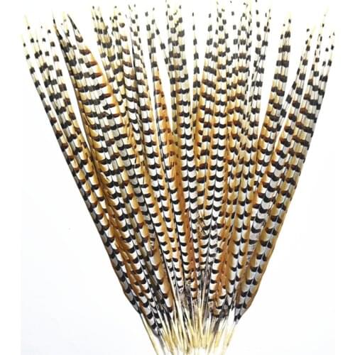 4-72" 10-180CM Long Natural Pheasant Tail Feathers for Crafts Reeves Venery Pheasant Feathers Decoration Carnival Accessories