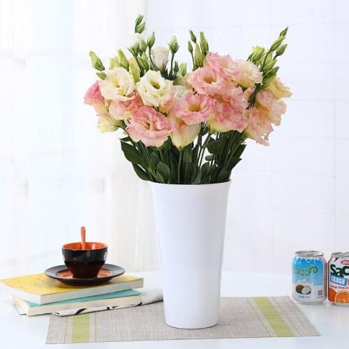 Simple Vase Hipster Creative Flower Grow in Water Vase Tabletop Vase Plastic Plastic Raw Material Desktop Europe Medium