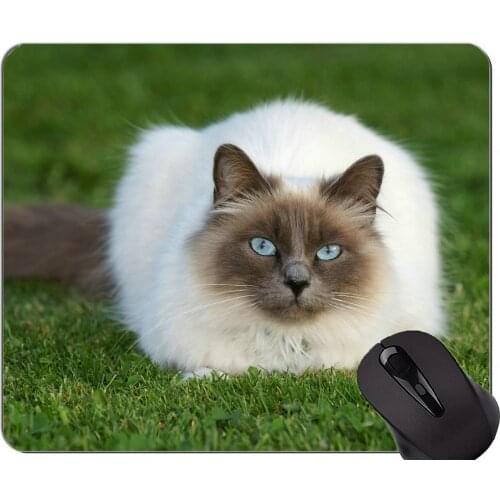 Mouse Pad with Stitched Edge,Himalayan Cat animal cat grass Non-Slip Rubber Base Mousepad