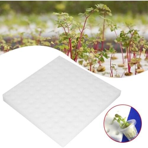 100 holes Soiless Hydroponic Gardening Plant Tools Vegetable System Cultivation Sponge 25cm Planted Y9N9
