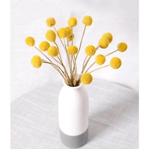 20pcs dried natural flower bouquets dried Craspedia flower bouquets&golden ball flower bunches