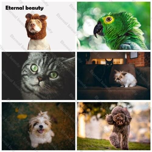 5D Diamond Painting Kits for Kids Adults Diy Art Full Drill Painting Diamond Embroidery Diamond Mosaic Cross Stitch Home Decor