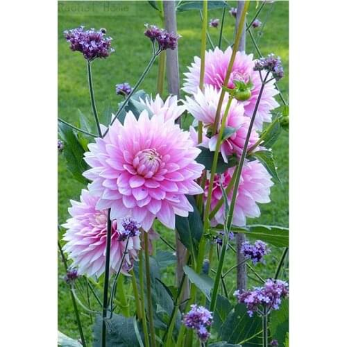 Diamond Embroidery Diy Diamond Painting Cross Stitch Kits Diamond Mosaic Flowers Full Square Diamond Embroidery BS151