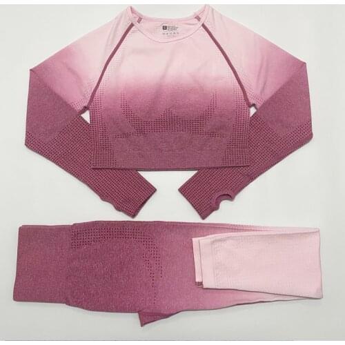 2PCS Seamless Women Yoga Set Workout Sportswear Gym Clothing Fitness Long Sleeve Crop Top High Waist Leggings Sports Suits