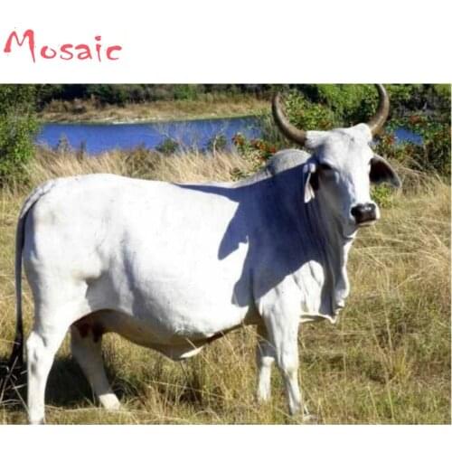 Diamond Embroidery,Animal,Cow,5D,Diamond Painting,Cross Stitch,3D,Diamond Mosaic,Farm Decoration,Friend Gift