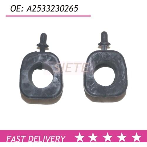 2533230265 X253 C253 Stabilizing Bushing Front