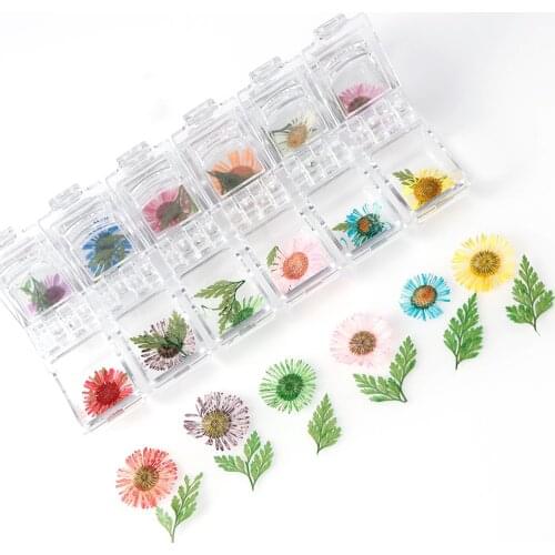 1 Box Dried Flowers Leaf Nail Decoration Natural Floral 3D Dry Beauty Nail Art Decals Jewelry UV Gel Polish Manicure