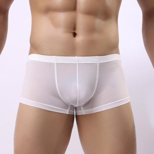 New Hot Sale ice silk sexy underwear men briefs seamless one-piece breathable thin section tide Panties men slip