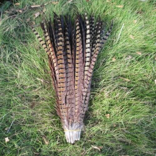Wholesale 100 pcs beautiful natural pheasant tail feathers of 50-55 cm 20-22 inches free shipping