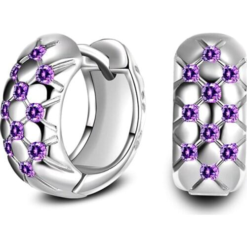 New Fashion Exquisite Zirconia Hoop Earrings Purple Crystal Stud Small Huggies Elegant Earring Piercing Jewelry For Women Gifts