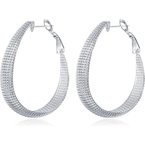 Free Selling fashion standard 925 sterling silver earrings for women dance creative frosted surface big ear ring silver fittings
