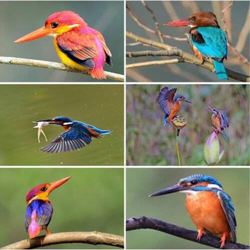 DIY 5D Diamond Painting Birds Cross Stitch Kits Full Square Round Drill Embroidery Animals Rhinestones Home Decor Handmade Gift