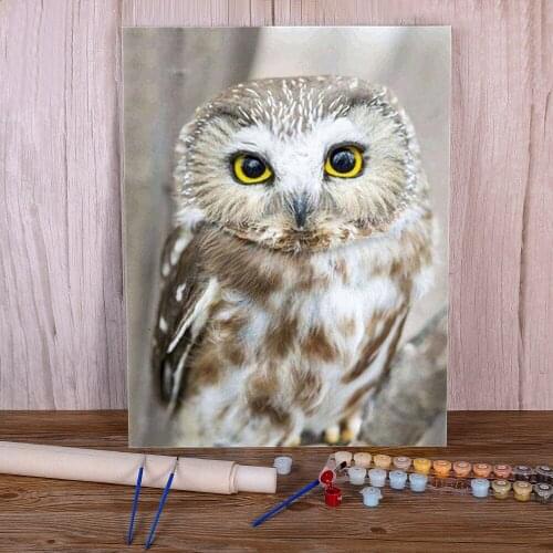 Bird Owl Animal Painting By Numbers Package Acrylic Paints 40*50 Canvas Painting Handmade For Kids Wholesale For Handicraft
