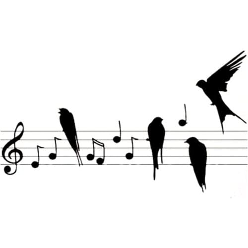 Fun Music and Bird Decals High Quality Car Window Decoration Personality Pvc Waterproof Decals Black/white, 17cm*10cm