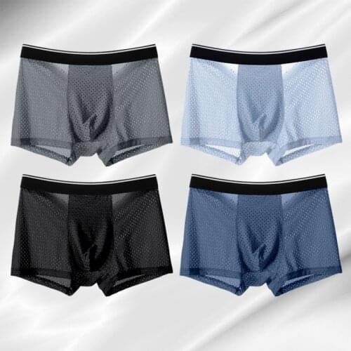 D Handsome Mens Silk Briefs
