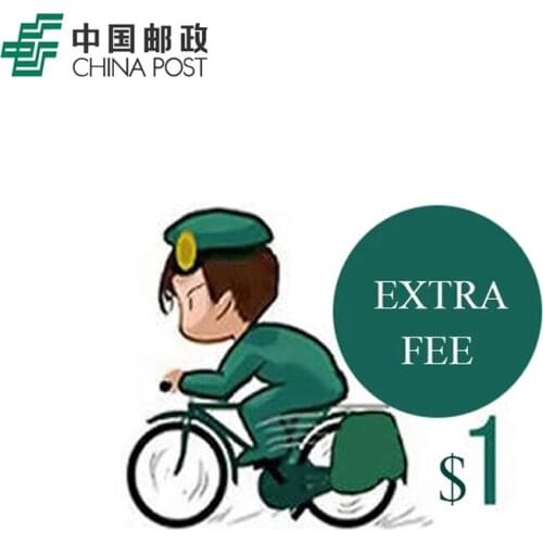 Extra Fee - After-Sales Service